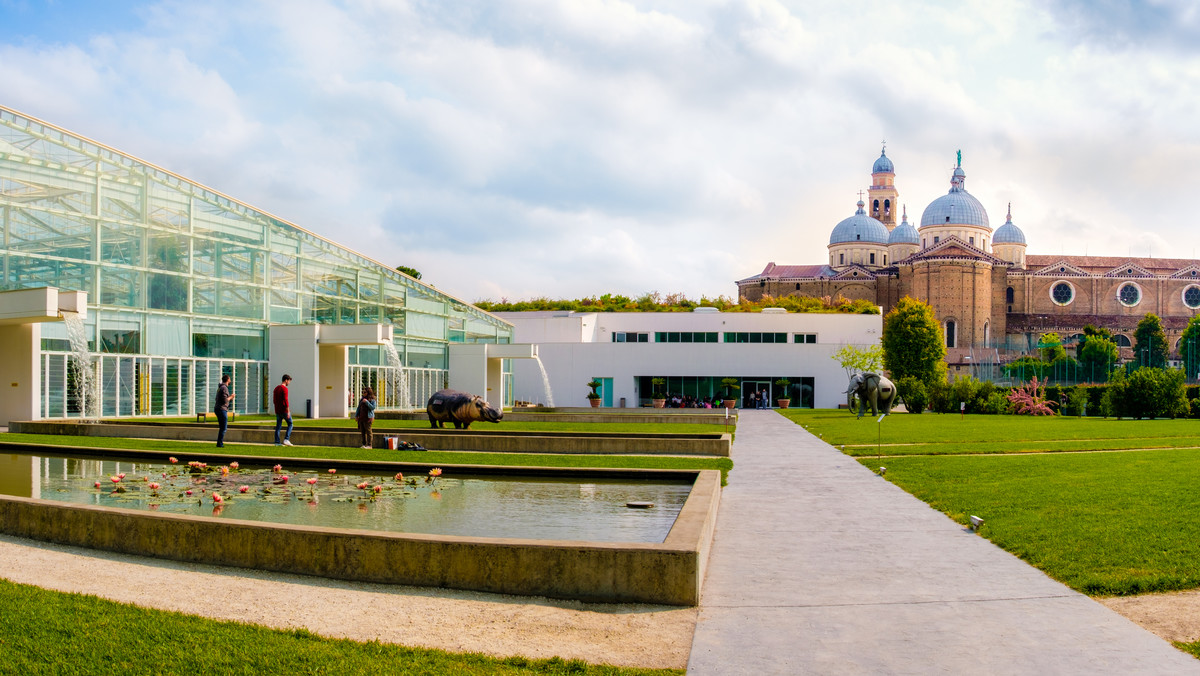 Ogród botaniczny w Padwie - historia, informacje, ciekawostki 