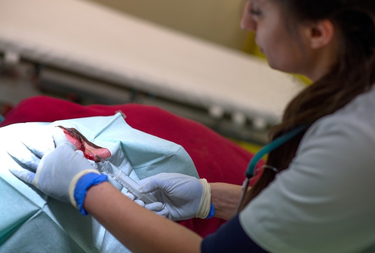 ŁÓDŹ. UDZIELANIE POMOCY PO ZABAWIE SYLWESTROWEJ