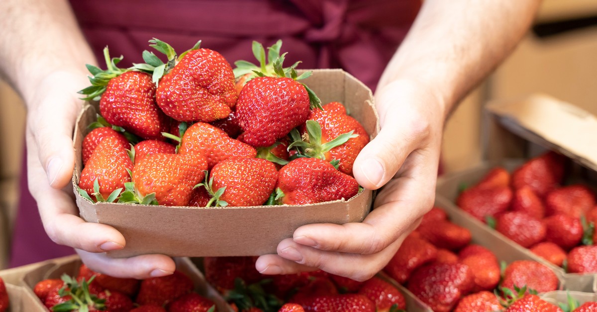 Polska tuż za liderem jako producent truskawek w UE. Kto króluje na rynku światowym?