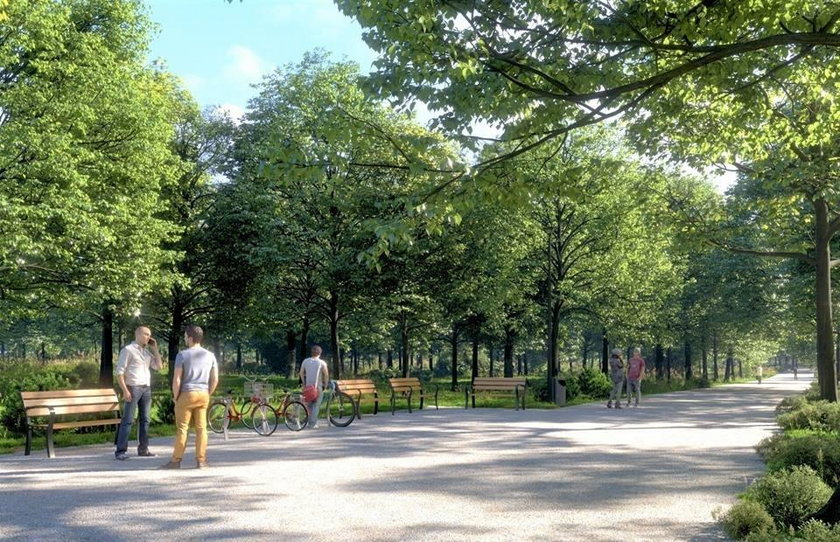 Dąbrowa Górnicza. Park Zielona będzie przebudowany