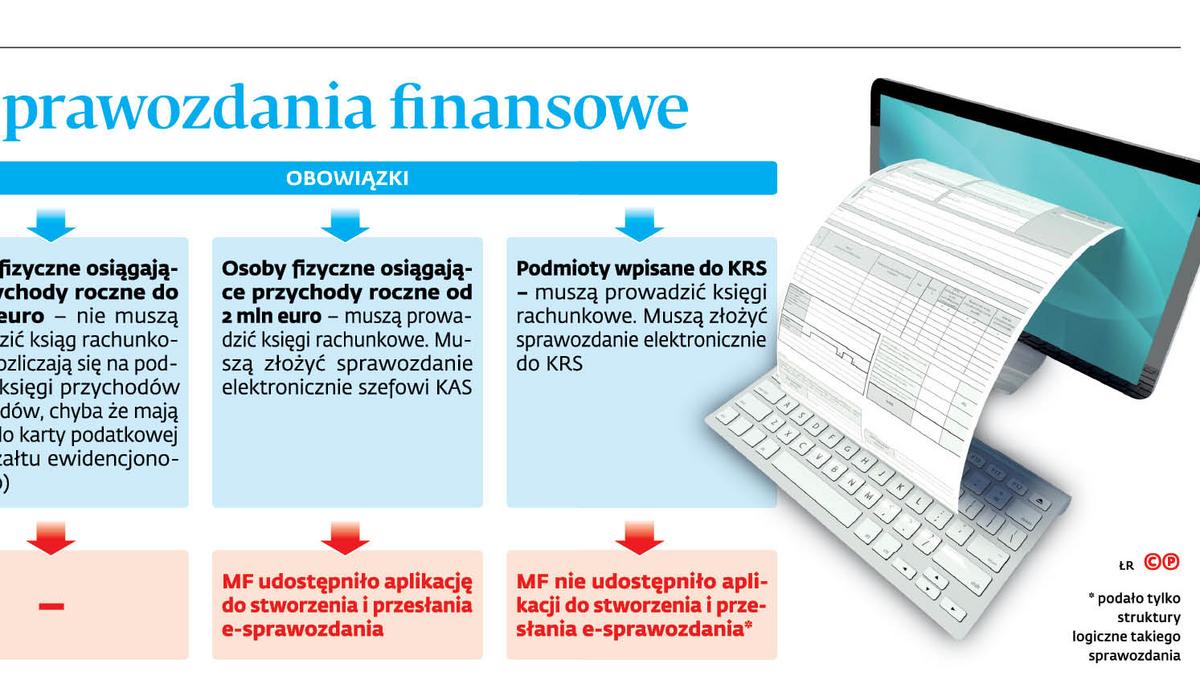 Jest nowa aplikacja do e-sprawozdań. Które firmy mogą z niej skorzystać? -  Forsal.pl
