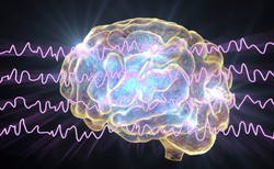 Naukowcy stworzyli matematyczny model, opisujący pracę ośrodków wzroku