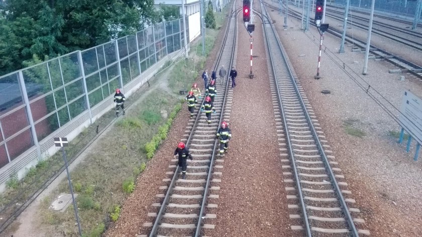 Grodzisk Mazowiecki: nowe miejsce poszukiwań Dawida Żukowskiego