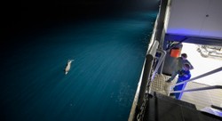 Kapsuła Dragon wróciła z ISS. To pierwsze wodowanie w ciemności od czasów Apollo 8