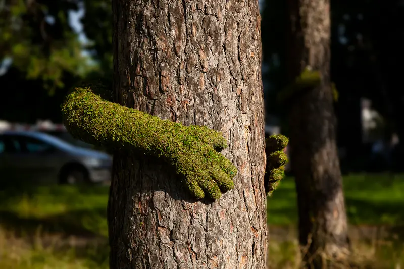 &quot;TREE HUG&quot;, proj. Monsieur Plant