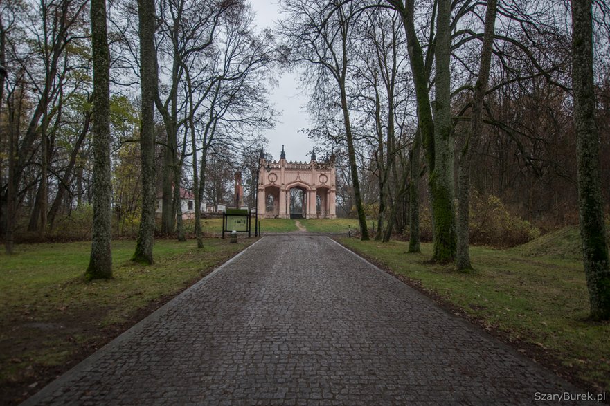 Ruiny pałacu w Dowspudzie