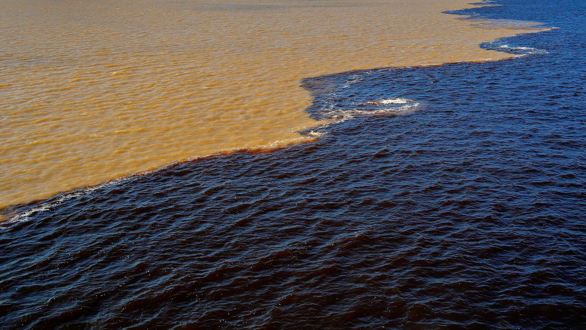 Naukowcy odkryli najczarniejszą rzekę świata. „Jest jak czarna herbata”