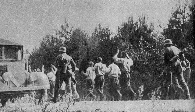 Dokumentacja fotograficzna zbrodni w Ciepielewie pod Zwoleniem 10 września 1939 r., w której żołnierze niemieccy rozstrzelali 300 jeńców polskich (domena publiczna)