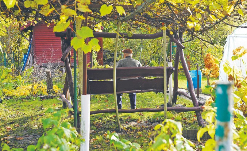 Pamiętając o ogrodach. Życie działkowicza nie zawsze jest usłane różami
