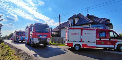 Maluszek pobiegł za psem. Zginął w straszliwych okolicznościach. Babcia trzylatka nie może przeżyć tragedii