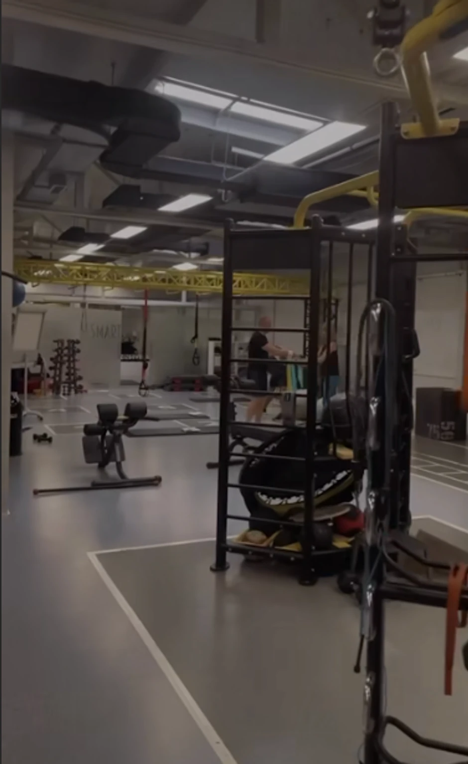 Jelisaveta u teretani