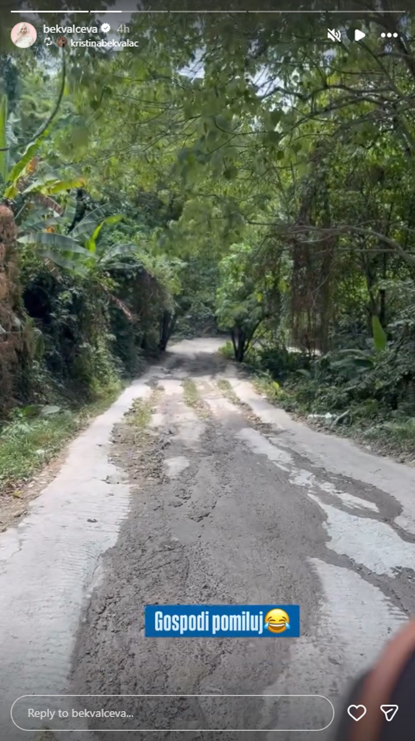 Nataša Bekvalac, objava