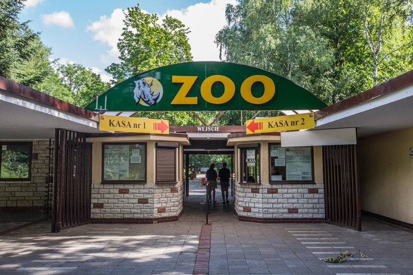 Nowym dyrektorem ZOO w Poznaniu została Ewa Zgrabczyńska