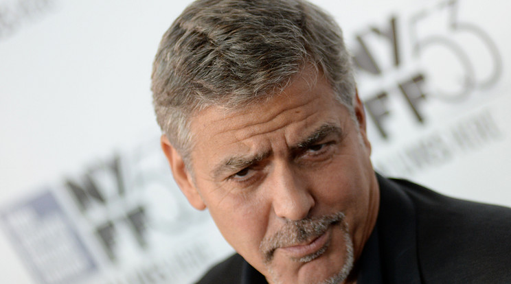 Clooney aligha lehet elragadtatva / Fotó: Northfoto