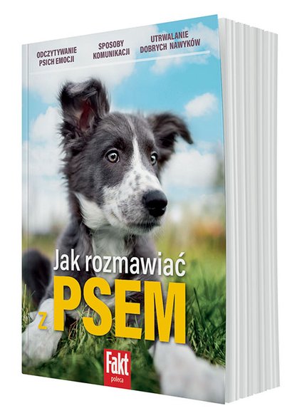 Jak rozmawiać z psem