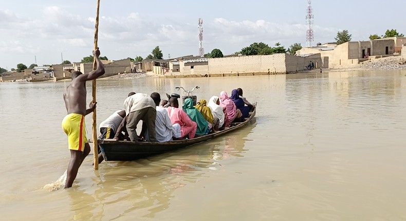 Floods hit Maiduguri zoo, animals suddenly break free