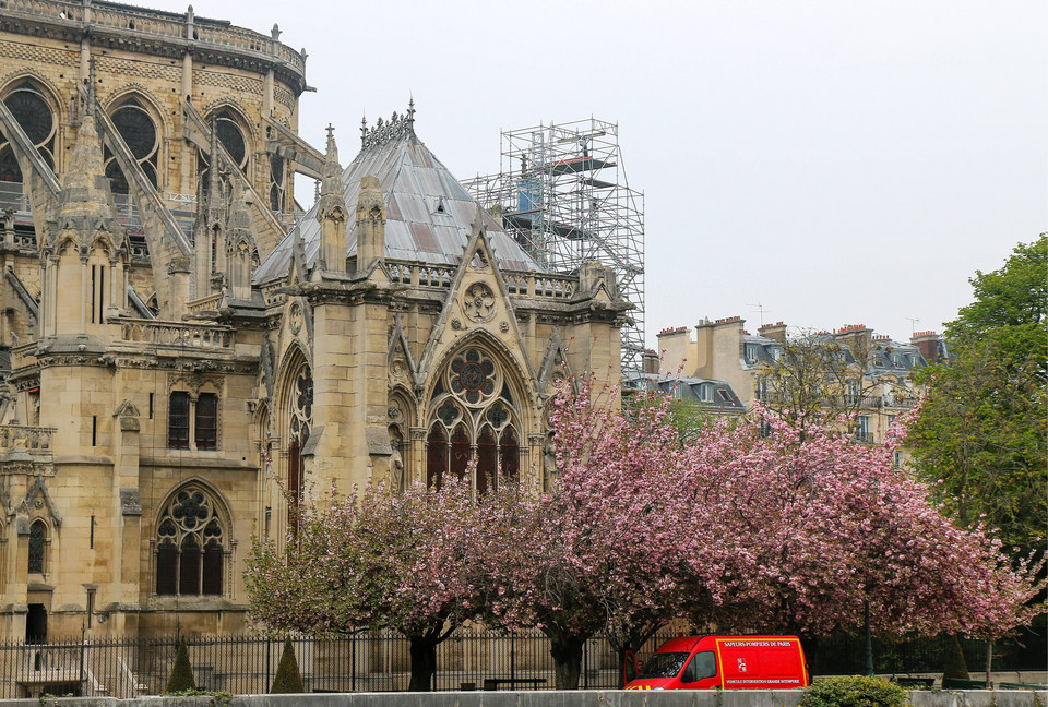 Katedra Notre Dame po pożarze