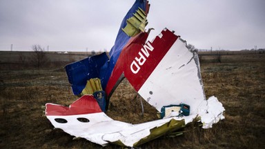 Tragedia lotu MH17. Prywatny detektyw ma nowe informacje na temat katastrofy?