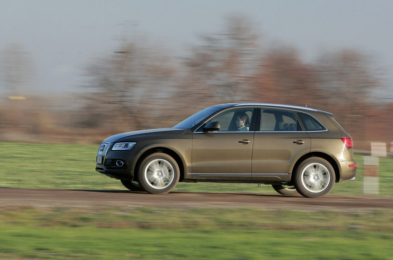 Test Audi Q5 3.0 TDI S-Tronic: auto na każdą drogę