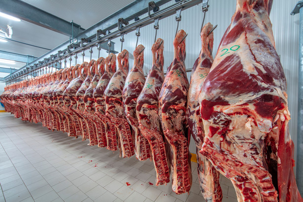Jak globalny przemysł mięsny sieje dezinformację? [RAPORT]