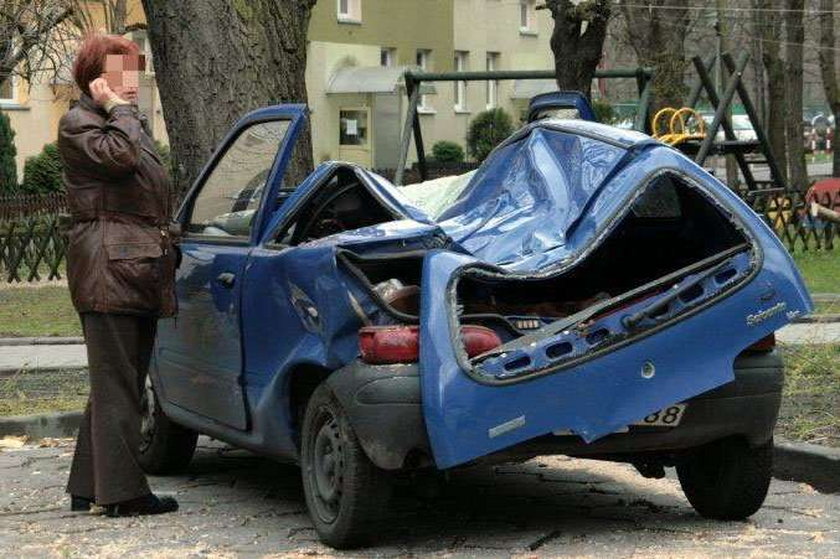 Drzewo zmiażdżyło samochód. O krok od tragedii