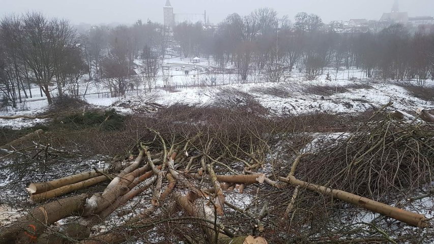 Rozpoczęto przygotowanie terenu w parku Centralnym pod kontrowersyjną inwestycję Arbetu [ZDJĘCIA]