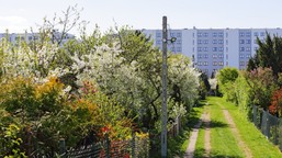 działki rod będą likwidowane? polscy działkowcy alarmują, rząd szykuje zmiany w gruntach likwidacja działek rod nowe przepisy projekt ustawy