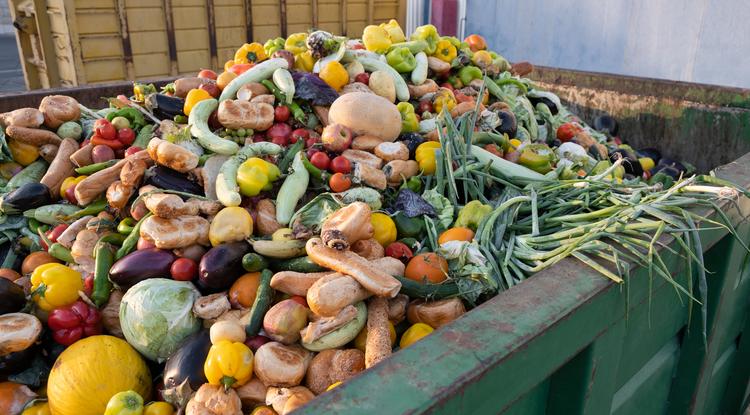 Te is hozzájárulhatsz az élelmiszer-pazarlás csökkentéséhez Fotó: Getty Images
