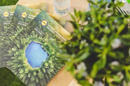 Lidl Polska rozwija się w sposób zrównoważony