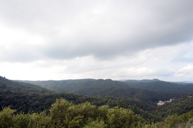 Sveta gora