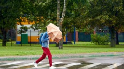 nietypowa prognoza pogody. "będzie bardziej jesiennie niż zimowo"