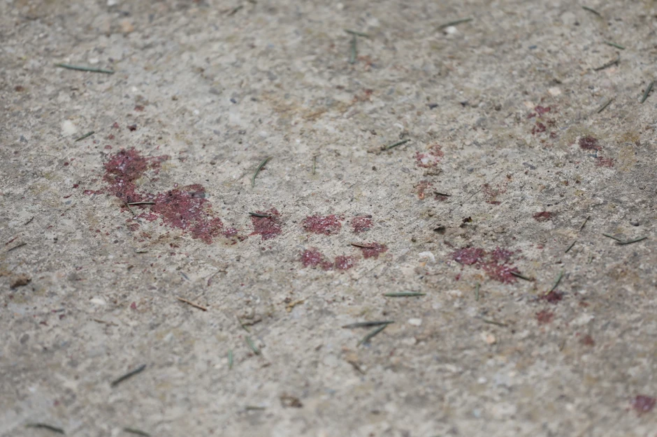 Tragovi krvi na groblju