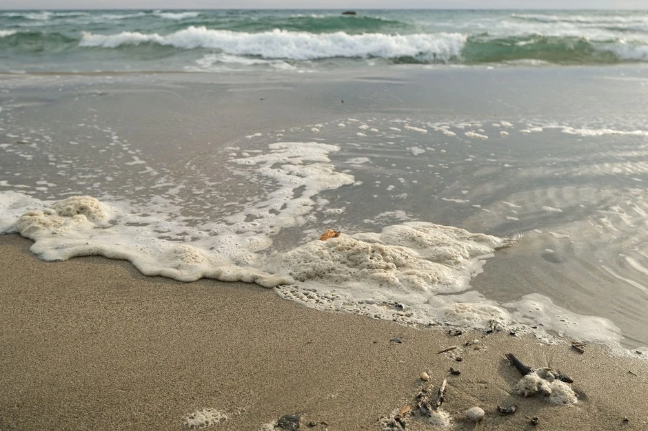 Premašen peti od devet planetarnih pragova zagađenja (foto: hemijski otpad u morskoj peni)