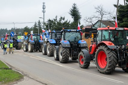 Polacy ocenili swoje miejsca pracy. Jedna grupa się wyróżnia