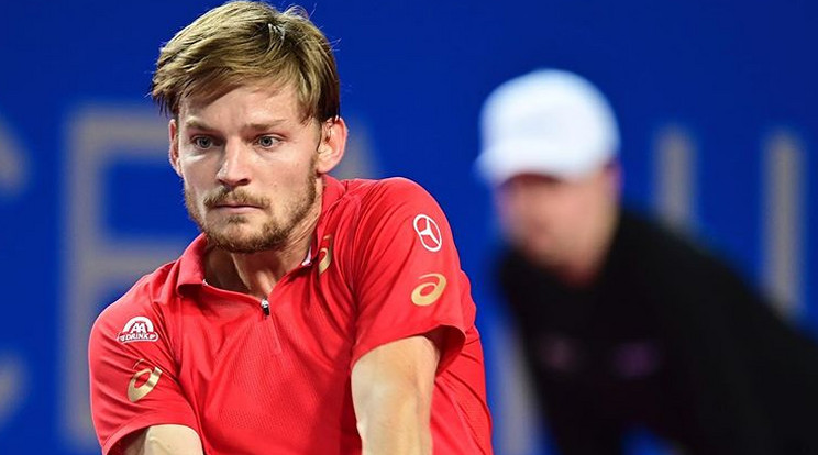 David Goffin