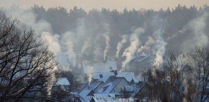 Smog jest groźniejszy, niż myślisz. Jak z nim walczyć?