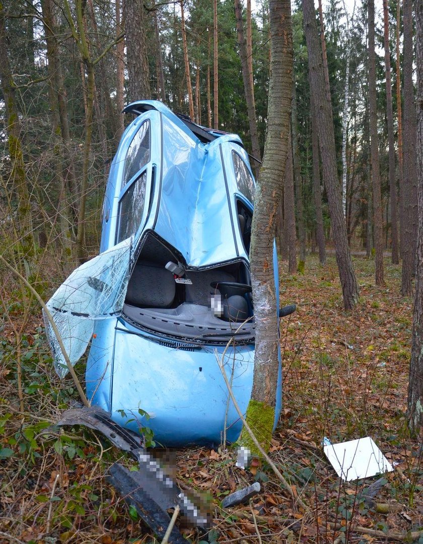 Lubelskie: Fiat zawisł na drzewie w Hutkach. Za kierownicą 86-latka