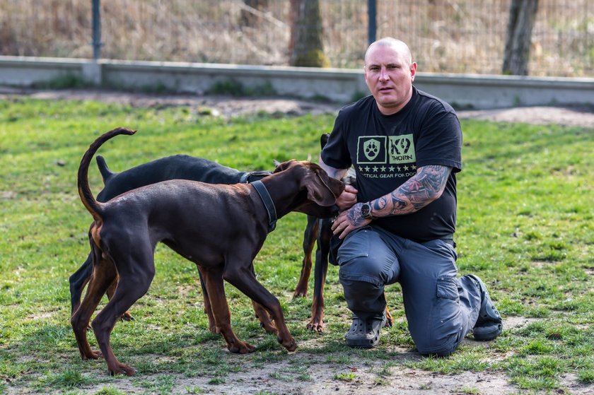 Opiekuje się psami ludzi na kwarantannie