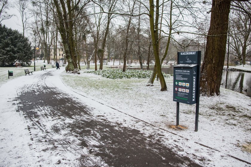 W parku Sołackim w  Poznaniu stanął kaczkomat