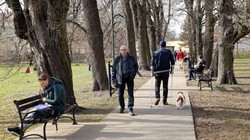 Idzie potężne ocieplenie. Czy marzec 2026 przyniesie nam wiosenny przełom i powiew maja?