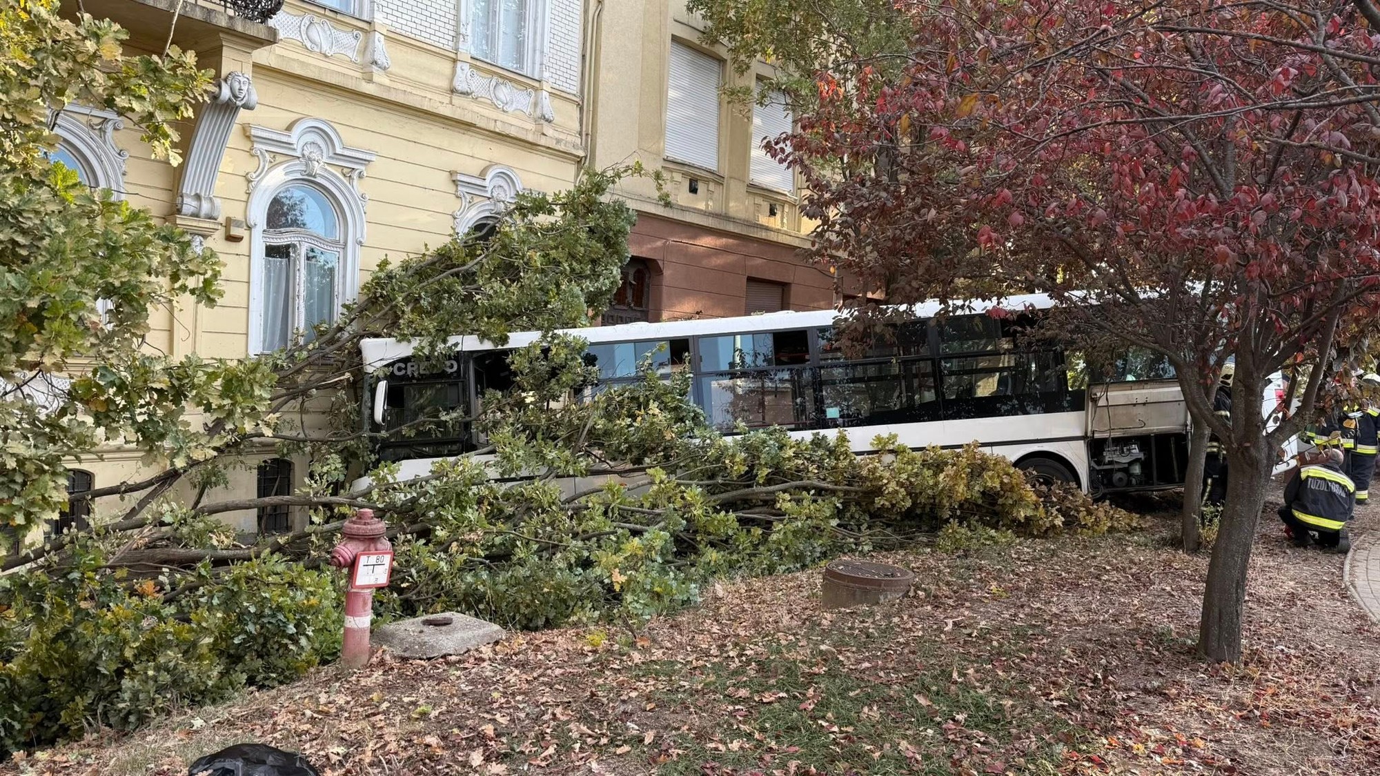 Pri nehode autobusu v Maďarsku sa zranili desiatky osôb.