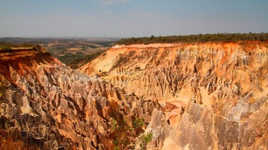 Uratować Madagaskar. Zielona misja na czarnej wyspie