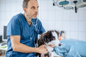 Jószi doki szinte legendává vált a gazdik körében