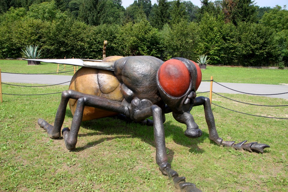 Zatorland, fot. Norbert Litwiński/Onet