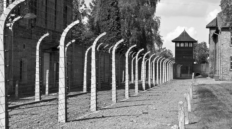 Auschwitz / Fotó: Northfoto