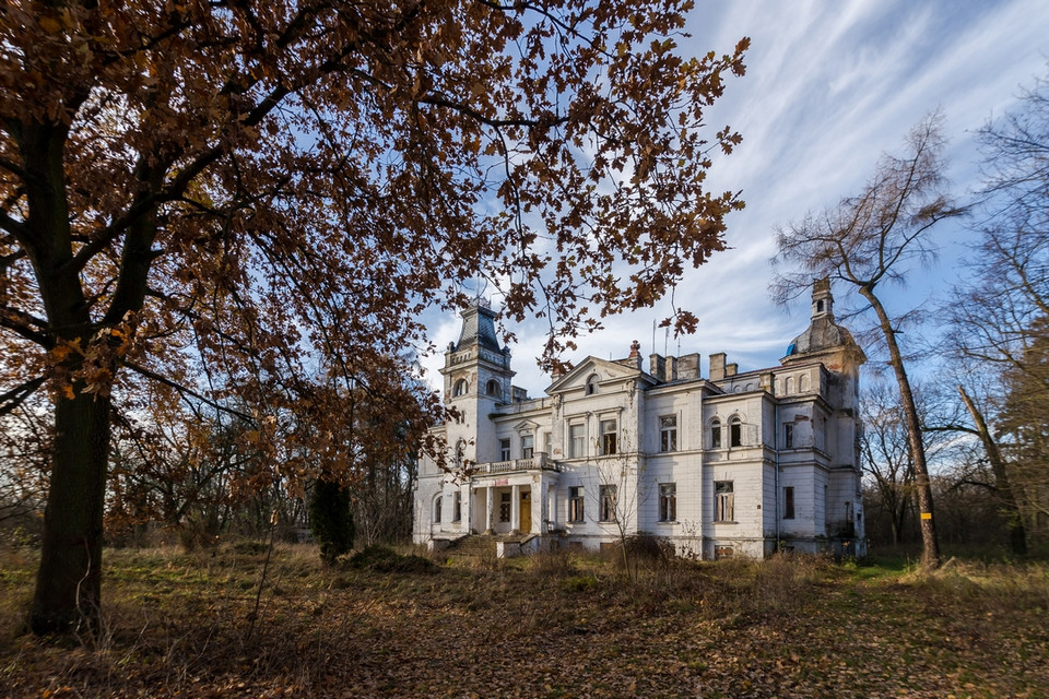 Pałac Kępalskich w Woli Boglewskiej