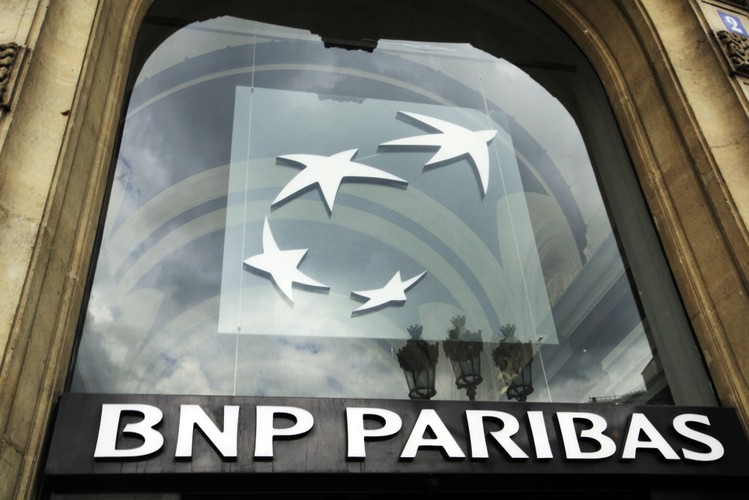 PNP Paribas powstał w 2000 roku z połączenia Banque Nationale de Paris (BNP) i Paribas (Banque de Paris et des Pays-Bas). W grudniu 2008 okazało się, że francuski bank stracił 350 mln dol. na operacjach z Bernardem Madoffem. Mimo to, wciąż pozostaje jedną z najpotężniejszych instytucji finansowych na świecie.