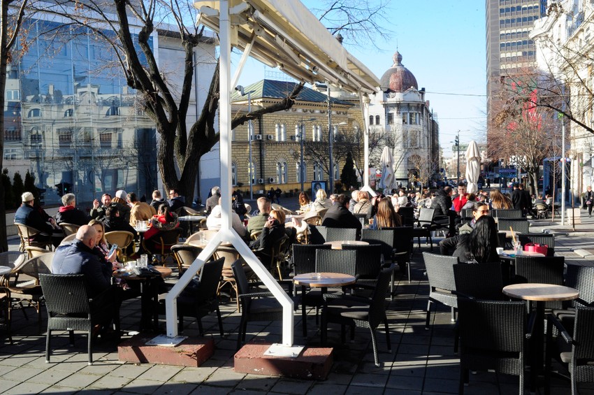 Stablo odoleva raznim uticajima centra glavnog grada