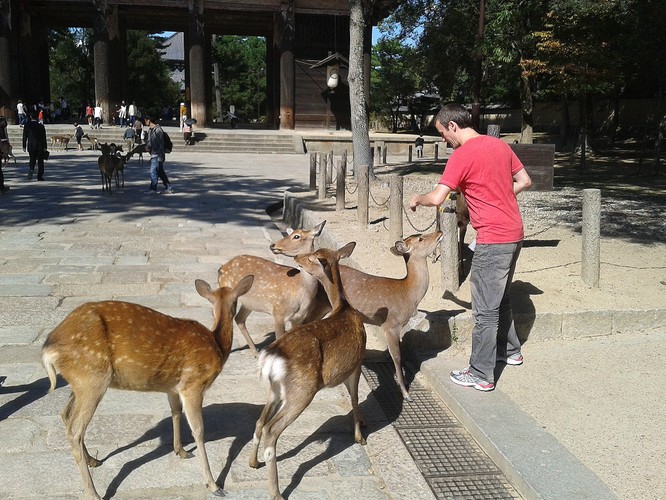 Może również dostać je od turysty na ulicy.