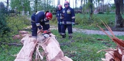 Piorun roztrzaskał 40-letniego buka!